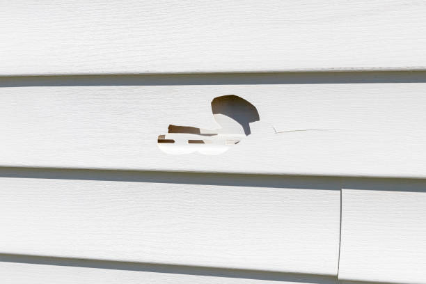 Shed Removal in Dover Base Housing, DE